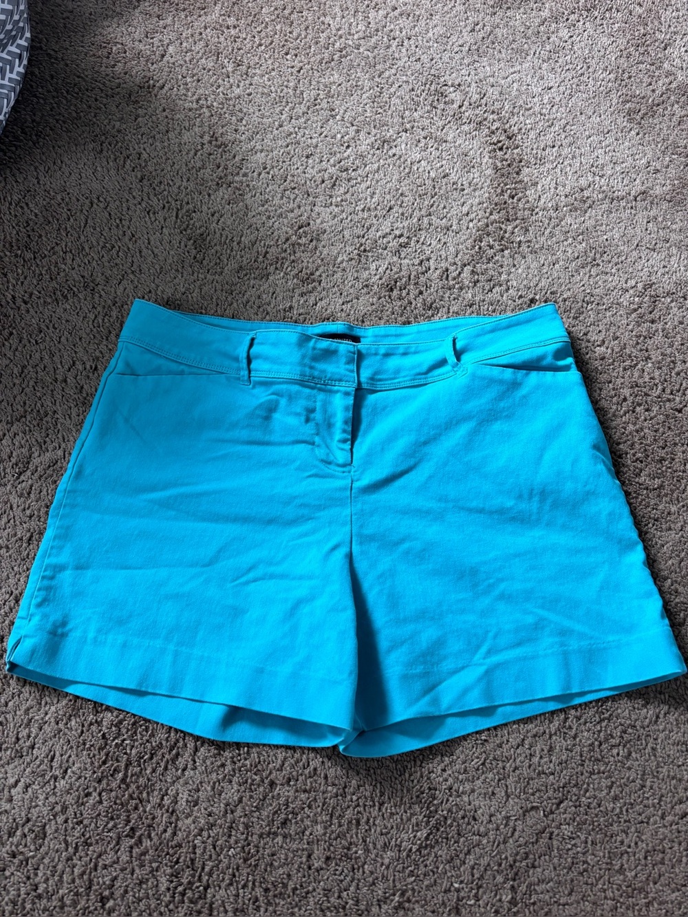 The Limited Size 14 Women’s Stretch Casual Shorts - Turquoise